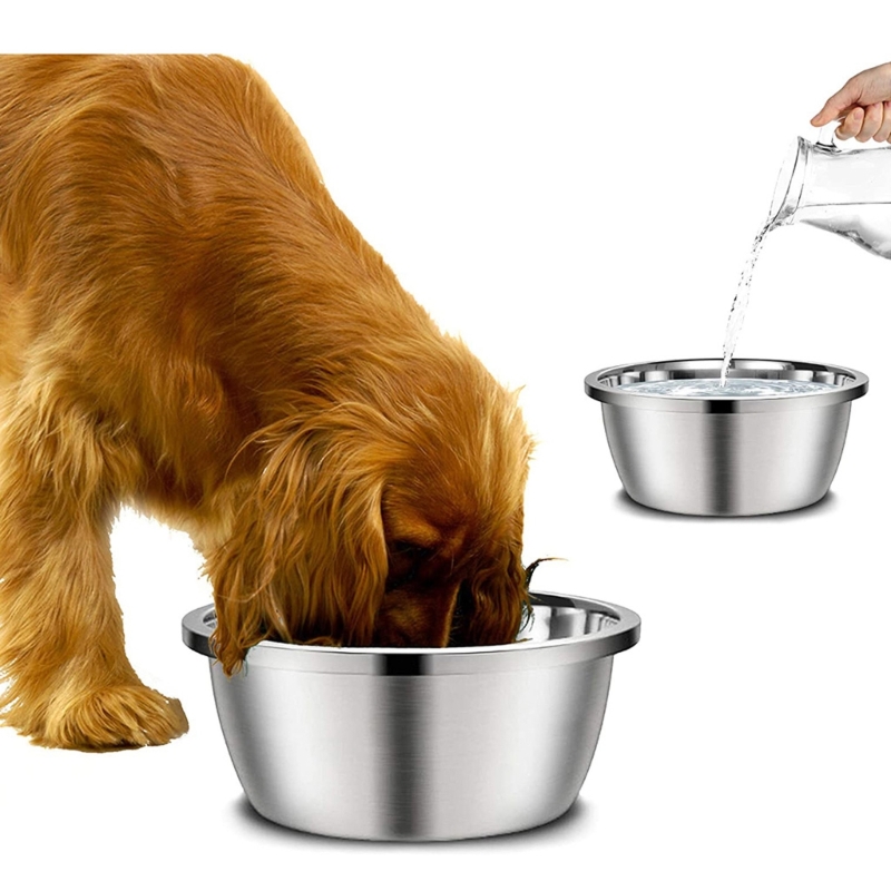 Royal Canin Food Medium - Comedero de Acero Inoxidable para Perros,